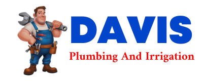 Trusted plumber in BUHL